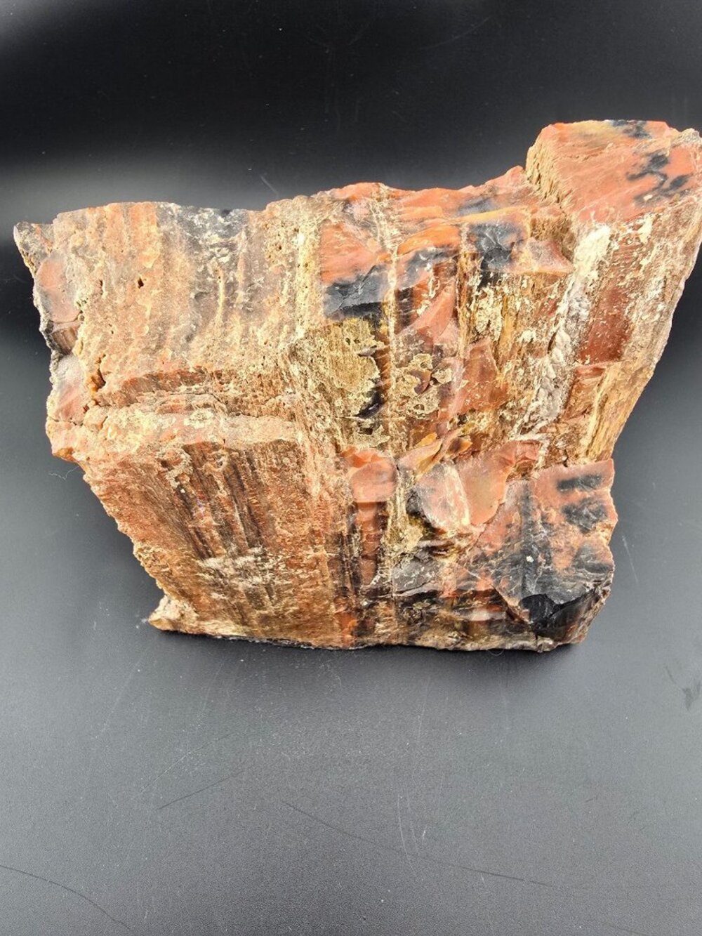Petrified Wood Fossil Specimen With Rich Red & Black Hues, Polished/Raw -2.1 lbs - Picture 2 of 16